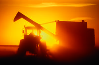 Harvesting on Ray Milne farm, sunset light