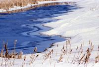 Blue pond and melting snow with cattails en route to Watrous
