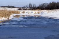 Blue pond and melting snow with cattails en route to Watrous