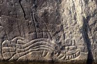 Sproat Lake petroglyphs