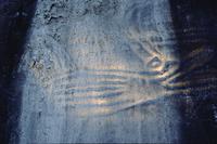 Sproat Lake petroglyphs with flashlight