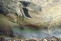 Hummingbird cave, masculine phase