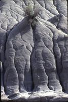 Rock patterns, Dinosaur Provincial Park