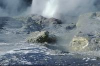 Pohutu geyser and rocks