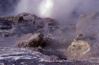 Pohutu geyser and rocks