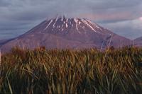 Mount Ngauruhoe sunset