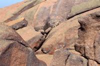 Enchanted Rock State Park