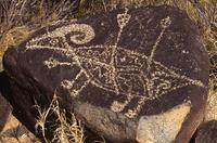 Petroglyph of Bighorn sheep