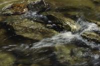 Close-ups of river near Bridal Veil Falls