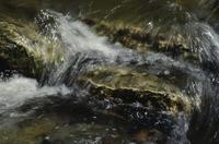 Close-ups of river near Bridal Veil Falls