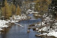 La Colline Blanche (Waapushukamikw) : Snowy creek