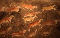 Close-ups of rock paintings in Cape Town museum