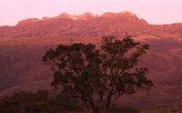 Sunrise light on Mount Kenya