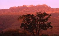 Sunrise light on Mount Kenya