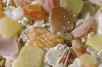 Close-ups of shells