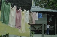 Laundry and street scenes 