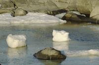An image showing the bedrock of the coast and chunks of snowy-ice in the water