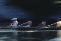Rowers in motion