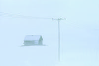 Blizzard on way to Swift Current - shack and pole
