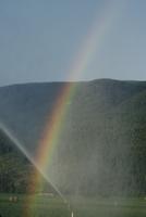 Sprinkler and rainbow