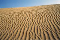 Dune close-ups